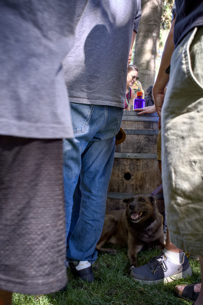A group of people gather around a wooden barrel on a grassy lawn, a brown dog seated in the grass before them.